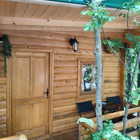 Still Cabin Cetinje Ngoại thất bức ảnh