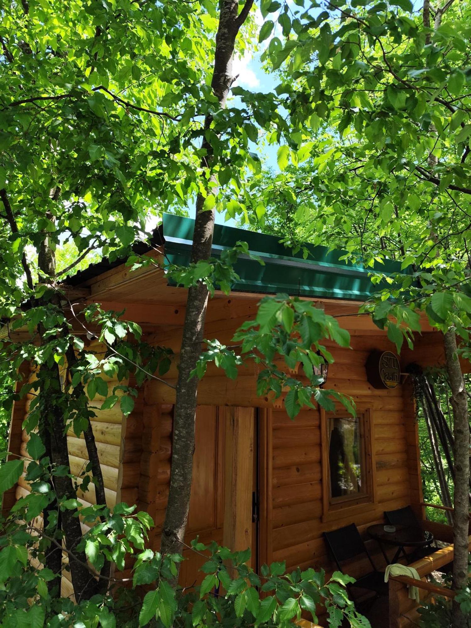 Still Cabin Cetinje Ngoại thất bức ảnh