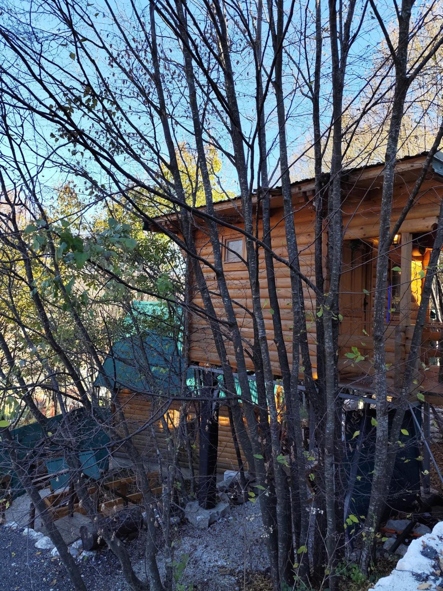 Still Cabin Cetinje Ngoại thất bức ảnh